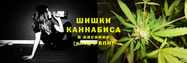 кокс Белокуриха