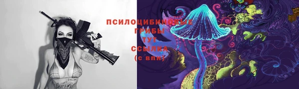 соль ск Беломорск