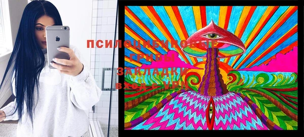 кокс Белокуриха