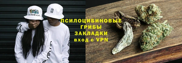 кокс Белокуриха