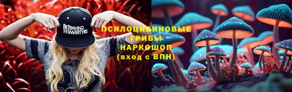 кокс Белокуриха