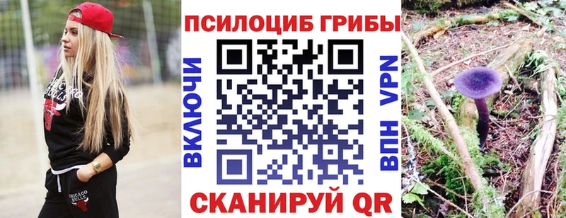 Галлюциногенные грибы мухоморы  ОМГ ОМГ онион  Короча  купить наркотик 